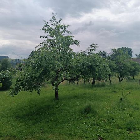 Chalupa U Kuby Vysoke nad Jizerou Exterior photo