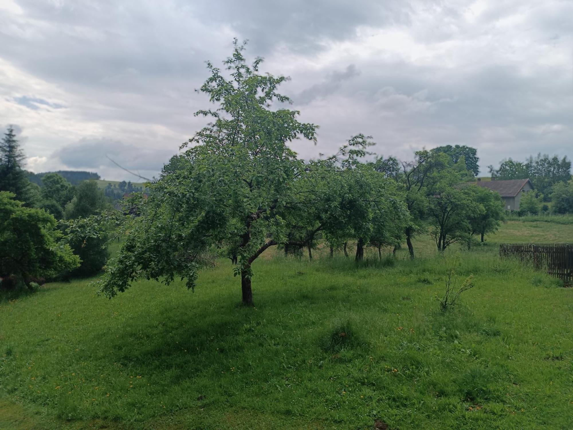 Chalupa U Kuby Vysoke nad Jizerou Exterior photo